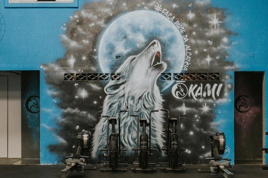 Imagem 2 da galeria do parceiro Okami CT