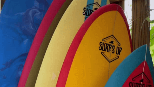 Imagem 3 da galeria do parceiro Surf’s Up Club - Casa Hüls I Backÿard