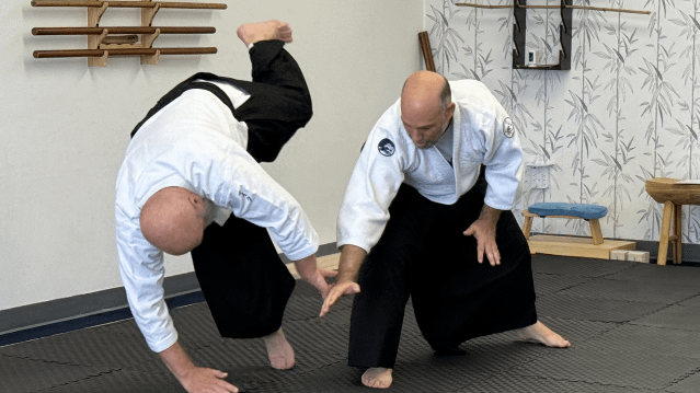 Image 1 from Upstate Aikido partner gallery