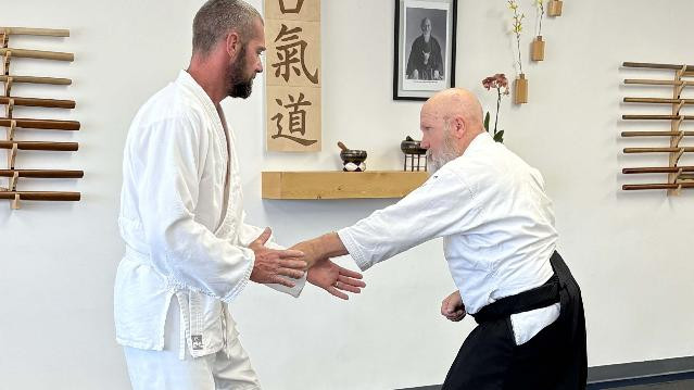 Image 3 from Upstate Aikido partner gallery