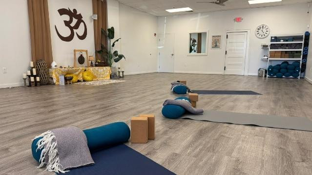 Image 1 from Palmetto Yoga & Wellness partner gallery