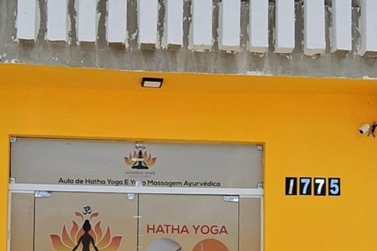 Imagem 1 da galeria do parceiro Satyameva Jayate Yoga Studio