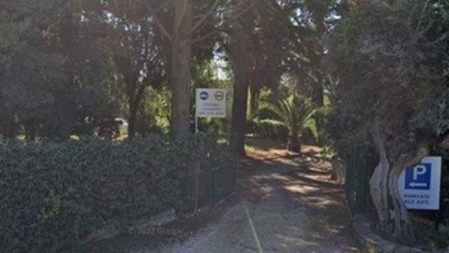 Immagine 2 dalla galleria del partner Excel Sporting Club - Crossfit Cortina