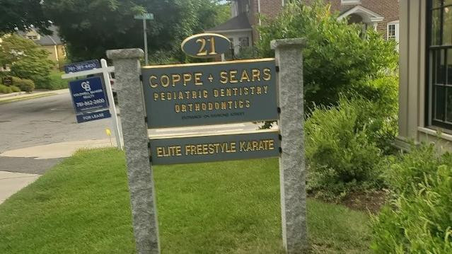 Image 2 from Elite Freestyle Karate Lexington partner gallery