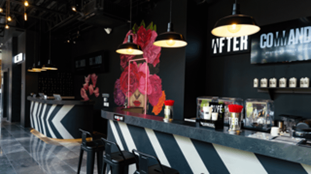 Imagen 2 de la galería del partner Commando - Altavista