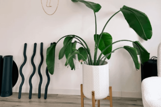 Image 2 from Toned Studio Frederick partner gallery