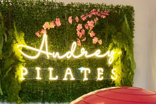 Imagem 1 da galeria do parceiro Studio Audrey Pilates