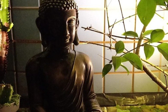 Imagem 3 da galeria do parceiro Pranayama Yoga