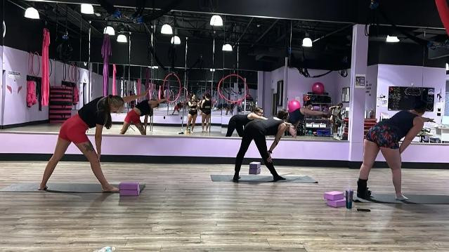 Image 3 from Pole Kisses, Bungee and Aerial Fitness partner gallery