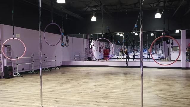 Image 1 from Pole Kisses, Bungee and Aerial Fitness partner gallery