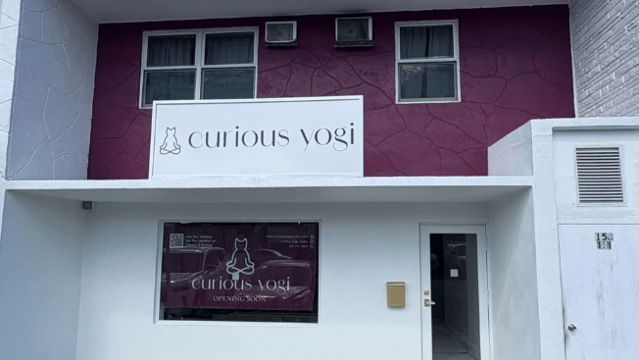 Image 2 from Curious Yogi partner gallery