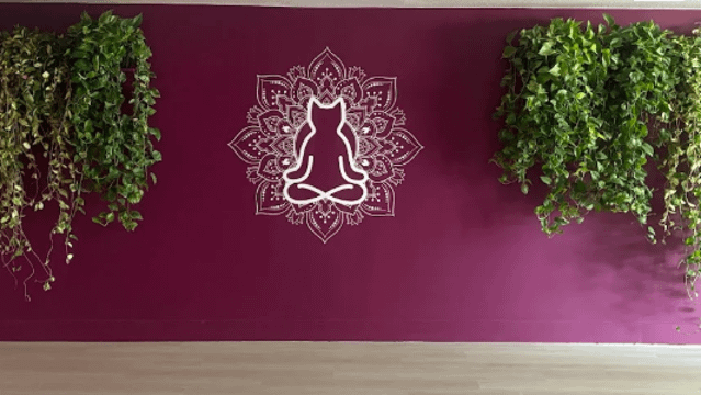 Image 1 from Curious Yogi partner gallery
