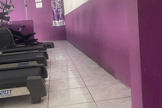 Imagem 1 da galeria do parceiro Irashimpo