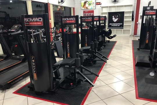 Imagem 1 da galeria do parceiro Academia Force