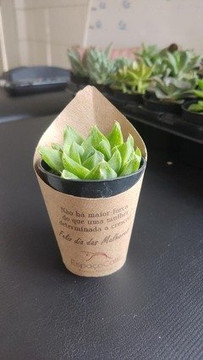 Imagem 2 da galeria do parceiro Espaço Callis Saúde