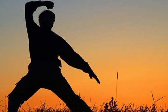 Image 3 from Shin Do Kan Karate partner gallery