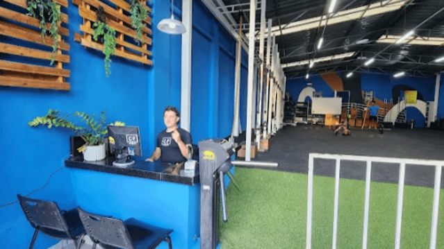 Imagem 3 da galeria do parceiro CF4x4 Santa Efigênia