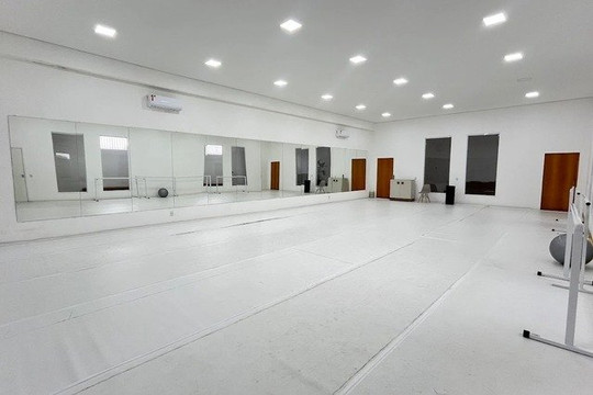 Imagem 1 da galeria do parceiro Lurez Studio de Dança