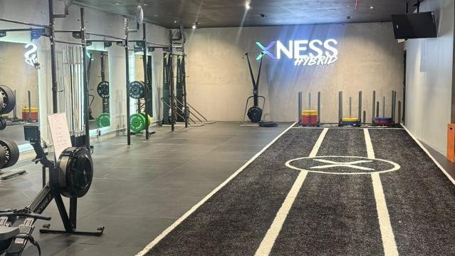 Imagen 1 de la galería del partner Xness Hybrid