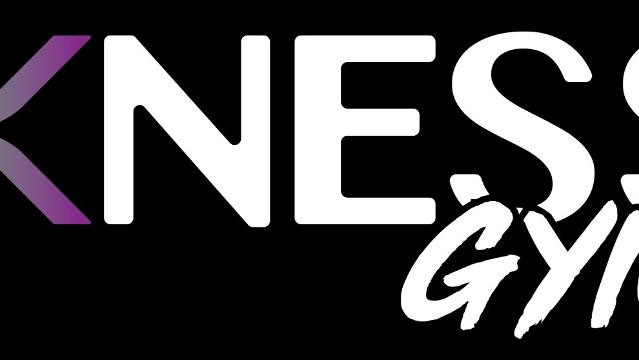 Imagen 3 de la galería del partner Xness Hybrid