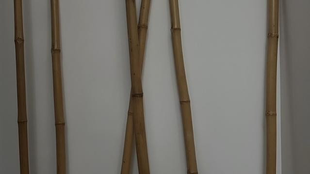 Imagen 3 de la galería del partner Bikram Yoga Madrid Río