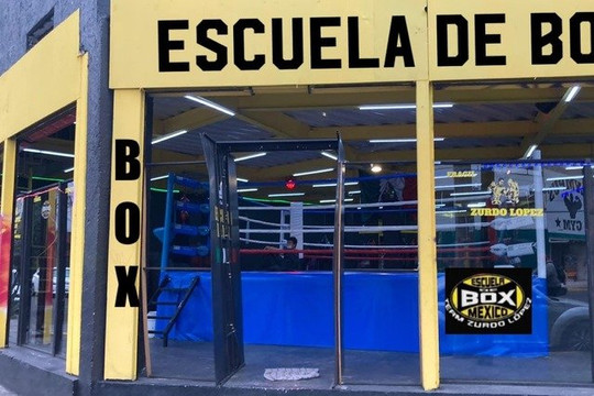 Imagen 2 de la galería del partner Escuela de Box Zurdo López