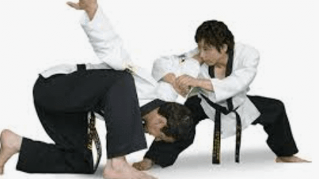 Image 1 from New Jersey Combat Hapkido - North Brunswick partner gallery