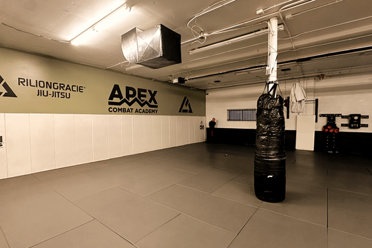 Image 1 from Rilion Gracie Denver partner gallery