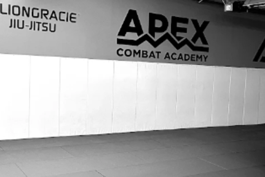 Image 3 from Rilion Gracie Denver partner gallery