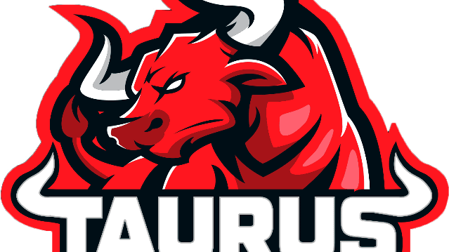 Imagem 3 da galeria do parceiro Taurus Box