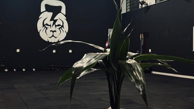 Imagem 3 da galeria do parceiro Centro de Treinamento Athletic Soul