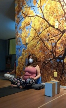 Imagem 3 da galeria do parceiro Alapadma Yoga