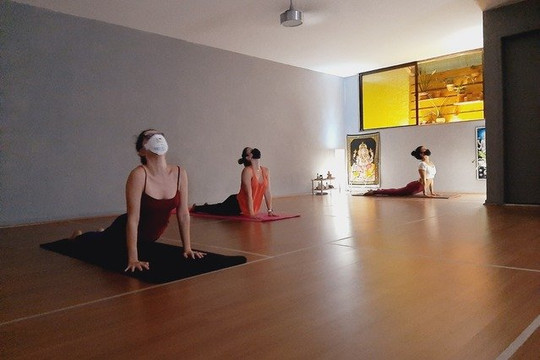 Imagem 1 da galeria do parceiro Alapadma Yoga