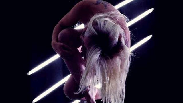 Imagem 2 da galeria do parceiro Escola Metropolitana de Pole Dance e Aéreos