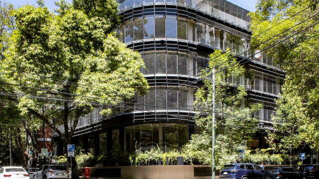 Imagen 2 de la galería del partner My Flow Studio - Polanco