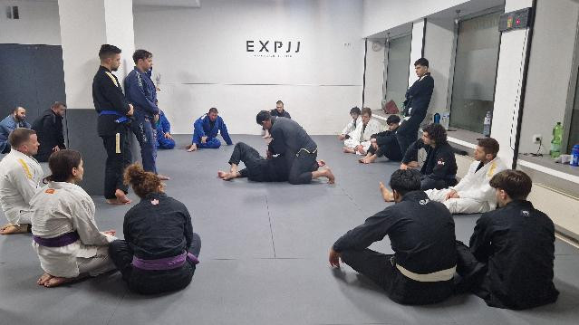 Bild 2 von Expression Sports Partnergalerie