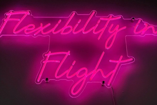 Image 1 from Flexibility in Flight partner gallery