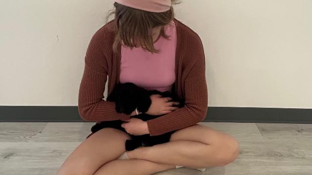 Image 3 from Pawsitively Pilates partner gallery