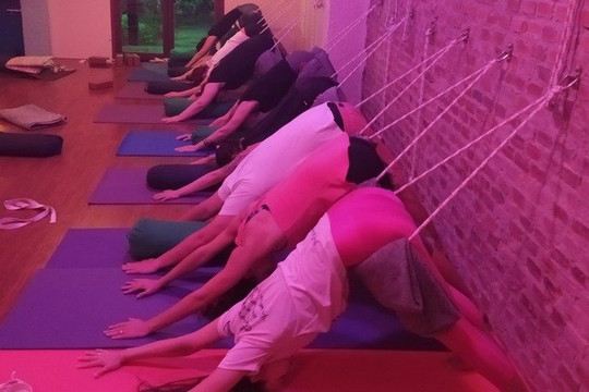 Imagem 3 da galeria do parceiro Yoga Shala