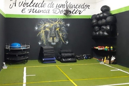 Imagem 3 da galeria do parceiro Cross Lion Jardim São Francisco