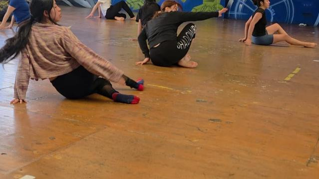 Imagen 3 de la galería del partner Shogun - Hood