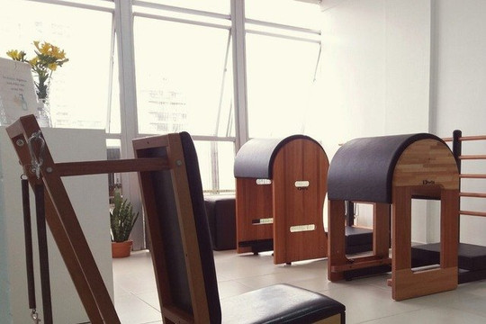 Imagem 1 da galeria do parceiro DANIELE CHARNAUD - ESPAÇO PILATES
