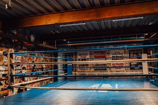 Imagen 1 de la galería del partner Leyendas Del Box Interlomas