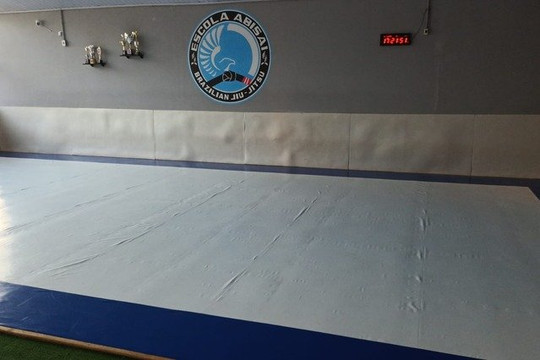Imagem 1 da galeria do parceiro Abisai Brazilian Jiu-jítsu