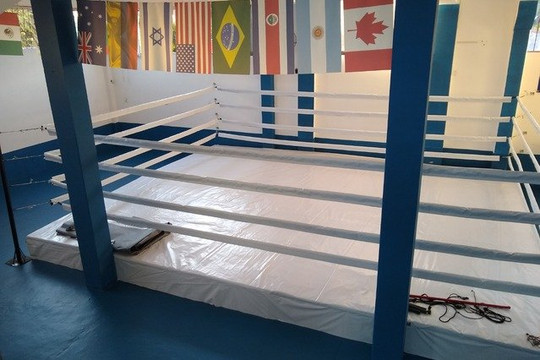 Imagem 1 da galeria do parceiro School of Boxing