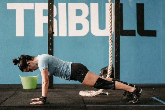 Imagem 3 da galeria do parceiro Tribull