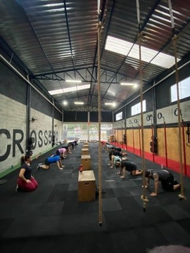 Imagem 3 da galeria do parceiro Cross 300