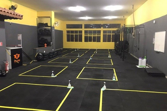 Imagem 1 da galeria do parceiro TF LION TREINAMENTO FUNCIONAL