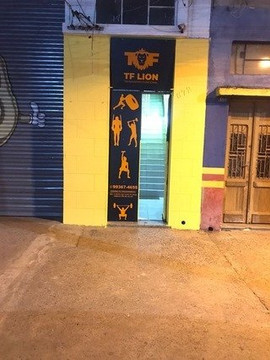 Imagem 3 da galeria do parceiro TF LION TREINAMENTO FUNCIONAL