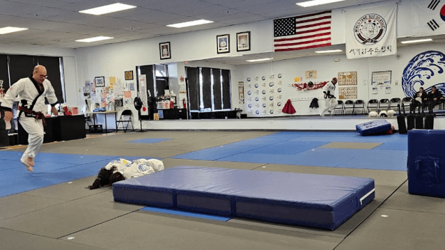 Image 1 from Wave Martial Arts partner gallery